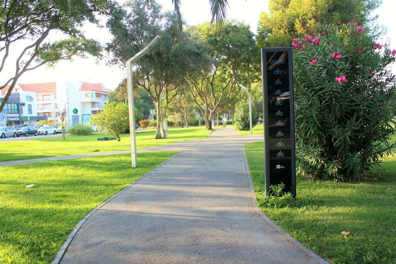 Vilamoura Dolphin Studio Ngoại thất bức ảnh